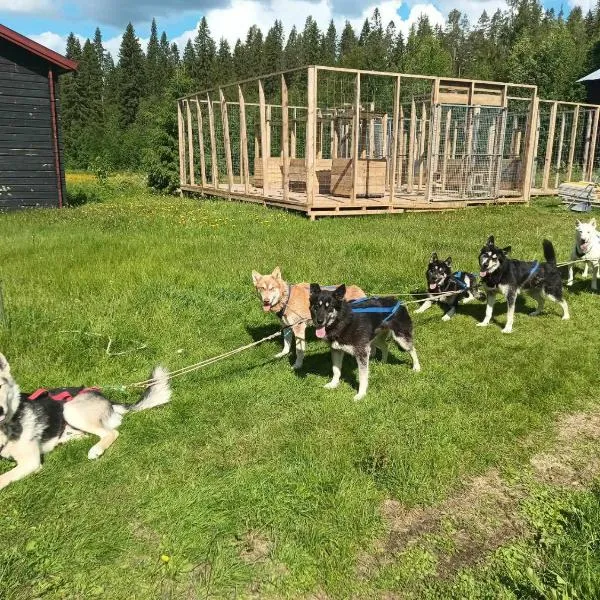 VitaNorse AB，位于Älglund的酒店