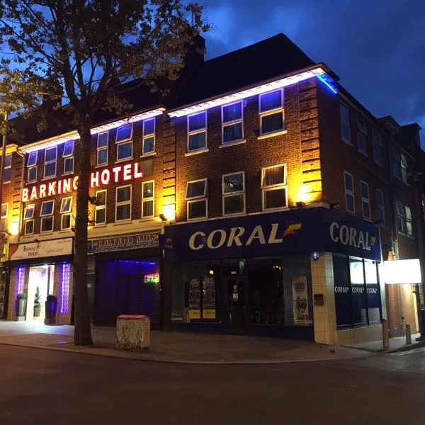 柏京酒店 ，位于巴尔金的酒店