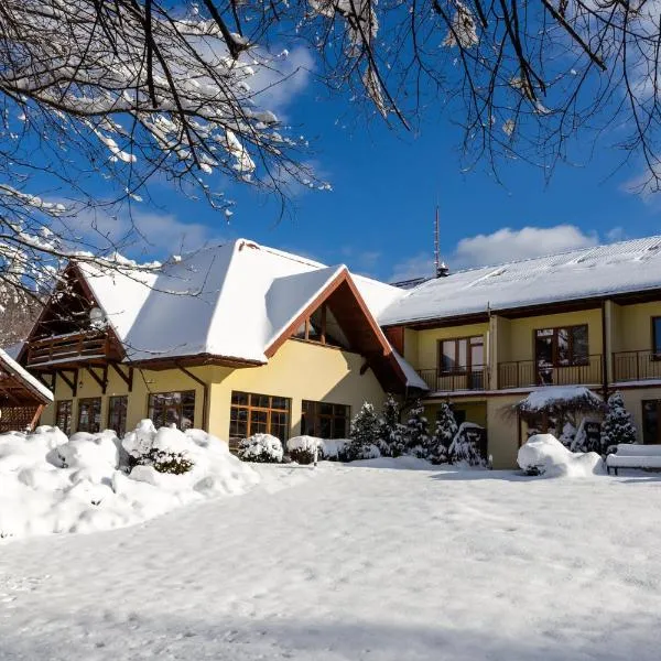 POŁONINY Resort，位于布科维茨的酒店