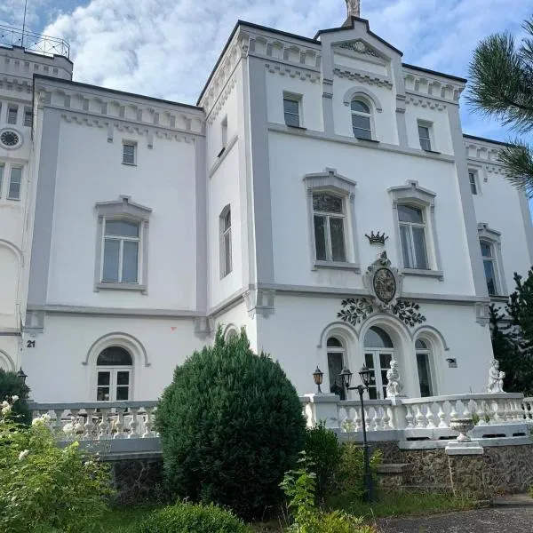 Chateau Franz，位于Osek的酒店