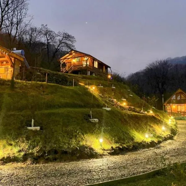 Chalets du BF，位于锡吉什瓦拉的酒店
