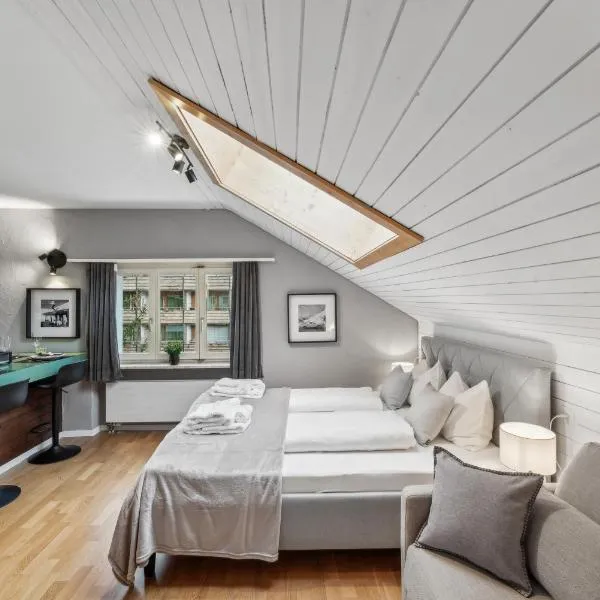 Book2Stay - Retro-Alpin Studio，位于莱克斯的酒店