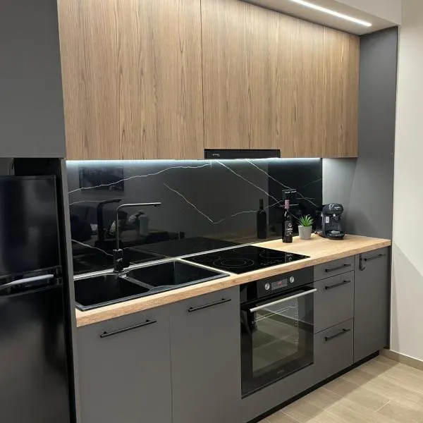 Serenity Luxury Apartment 1，位于亚历山德鲁波利斯的酒店