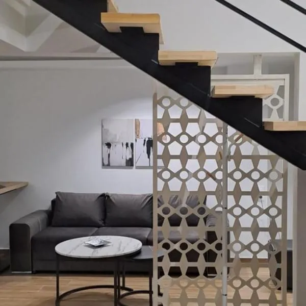 Loft bianco nero，位于特里卡拉的酒店