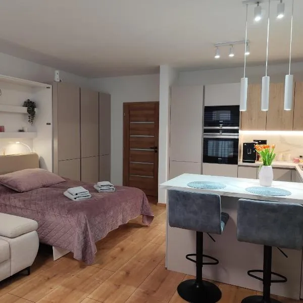 Útulný Apartmán Katka Rajecké Teplice，位于劳耶克特普利采的酒店