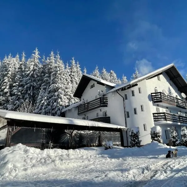 Pensiunea Silvania，位于Statiunea Borsa的酒店