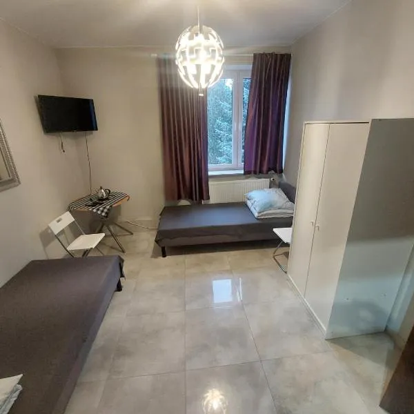 Pokoje Hotelowe Noclegi Hotel Pensjonat Venus Siedlce，位于谢德尔采的酒店