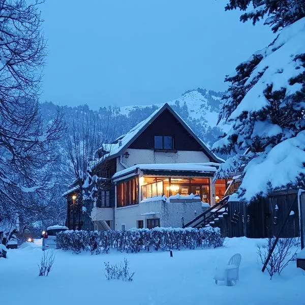 老菩提树酒店，位于塞讷的酒店