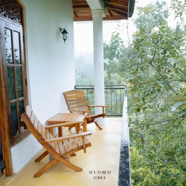 Tea Forest Lodge，位于埃拉的酒店