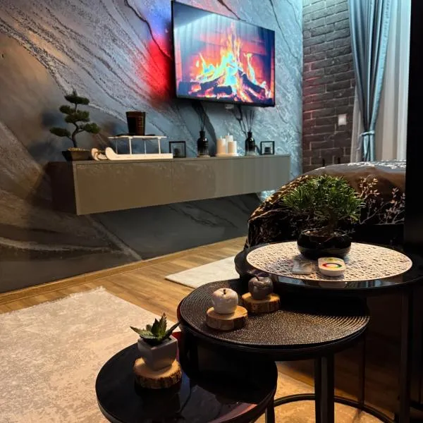 Elegant Black Kopaonik，位于科帕奥尼克的酒店