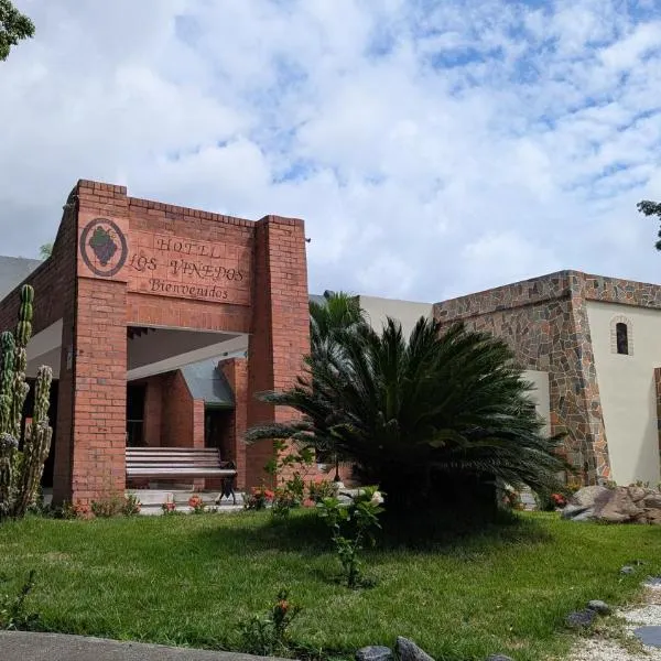 Hotel Los Viñedos，位于La Unión的酒店