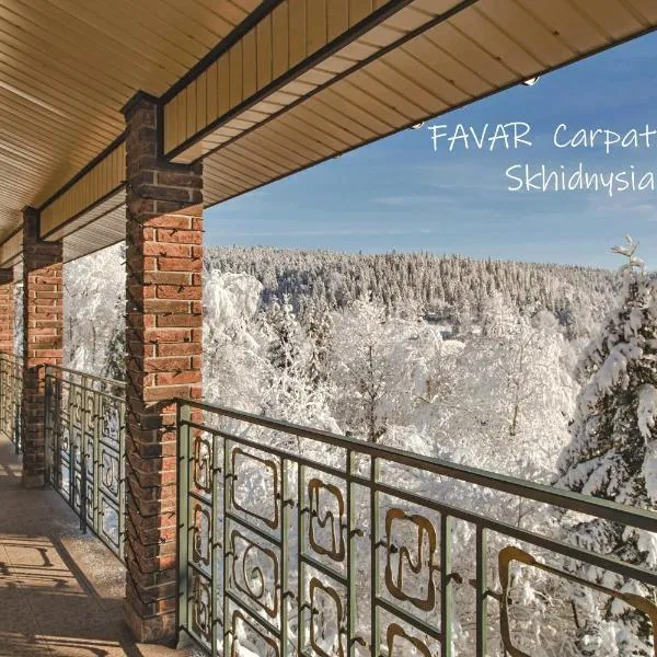 FAVAR Carpathians，位于斯基希德尼萨的酒店