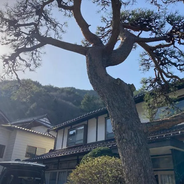 TAZAWA BOSSA inn，位于青木市的酒店