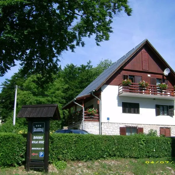 维拉沃克酒店，位于Gornji Babin Potok的酒店