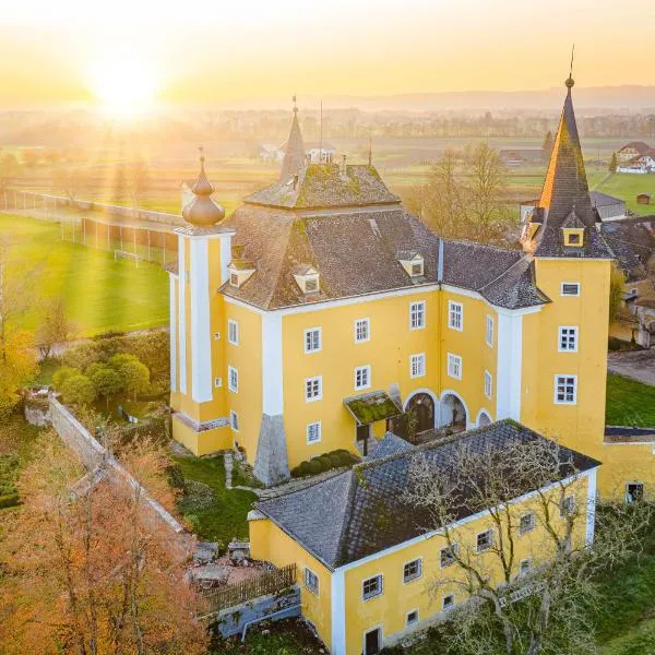 Apartments am Schloss Mühldorf，位于多瑙河畔菲尔德基芩的酒店