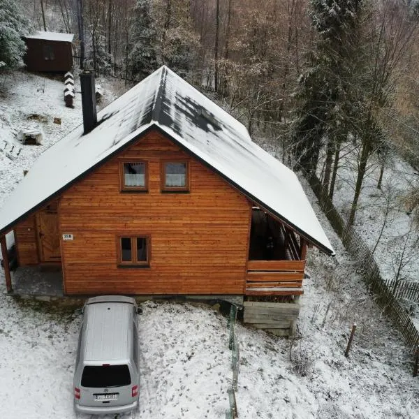 Cicha przystań na Madejach，位于耶莱希尼亚的酒店