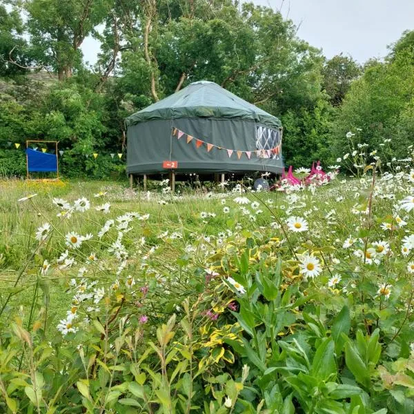 Granville House Glamping，位于巴里菲尔特的酒店
