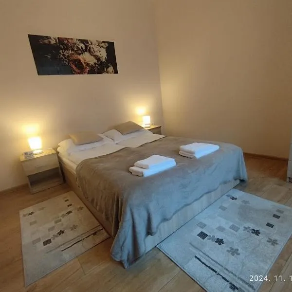 Apartament Andreas，位于阿拉德的酒店