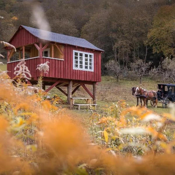 Valea Verde Retreat Transilvania，位于Cund的酒店