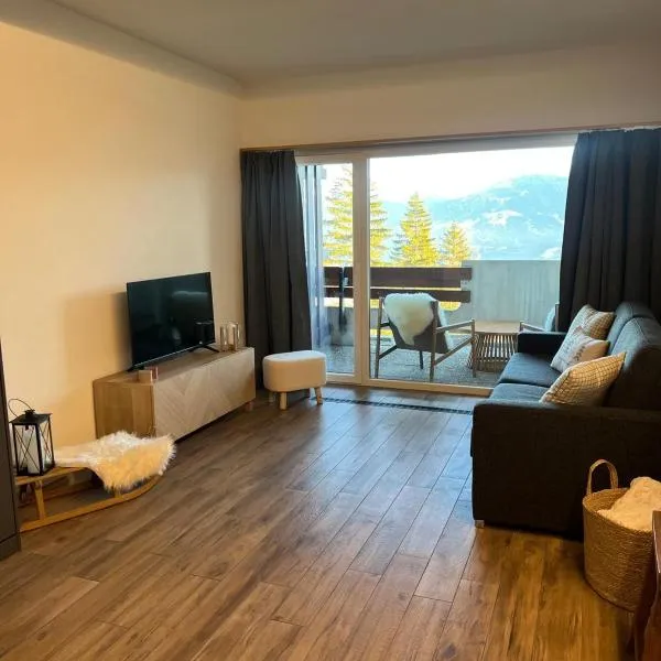 Studio élégant rénové avec vue à Anzère，位于安塞热的酒店