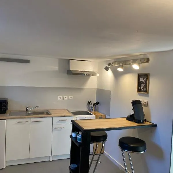 Appartement 2 pièces Poncin，位于Poncin的酒店