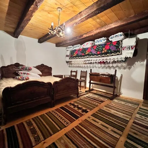 Casa Ilenucăi，位于Bîrsana的酒店