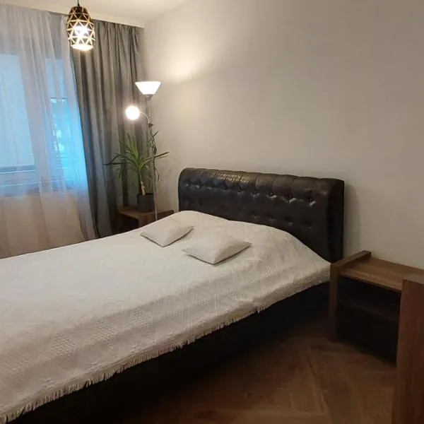 Apartament przy Stawie，位于弗罗茨瓦夫的酒店