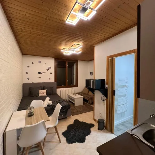 Magnifique Studio de 20m2 pour 1 à 4 personnes，位于莱鲁斯的酒店