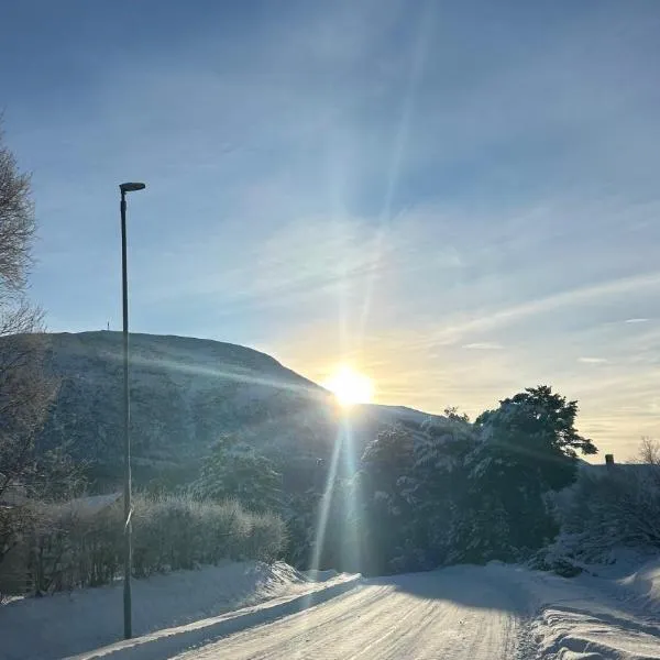 Tur og sentrumsnær leilighet, nærhet til alpinbakke，位于奥普达尔的酒店