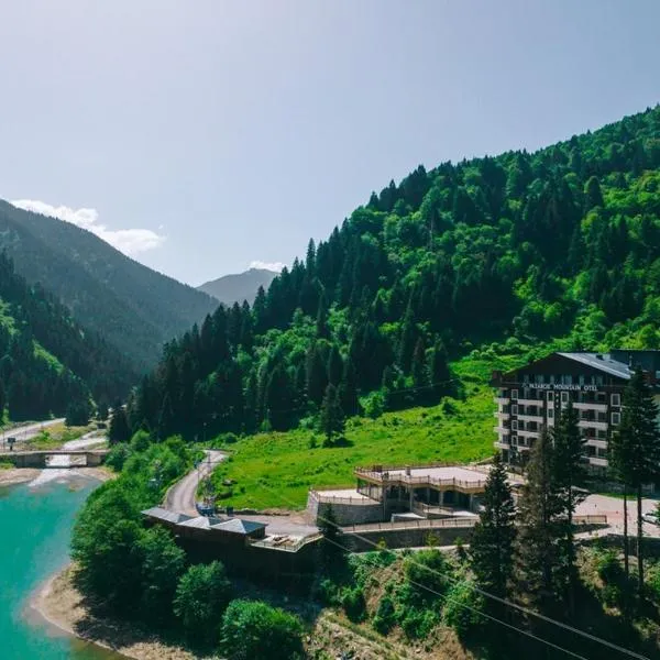 PAZARCIK MOUNTAIN HOTEL，位于特拉布宗的酒店
