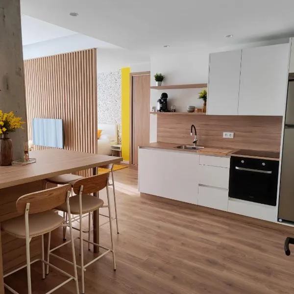 Apartamento Mimosa Diseño Exclusivo，位于蓬特亚雷亚斯的酒店