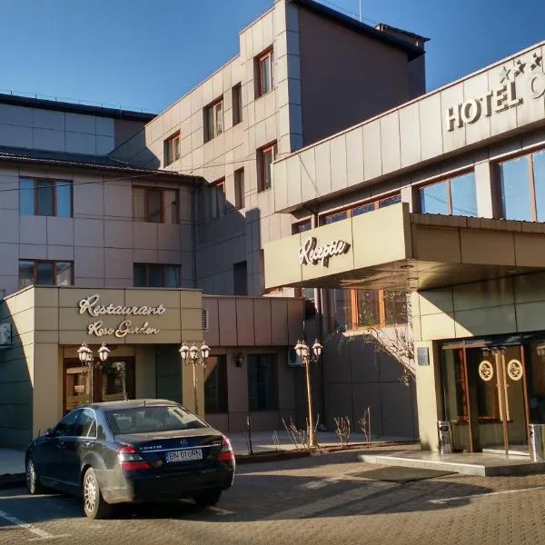 奥扎纳酒店，位于Susenii Bîrgăului的酒店