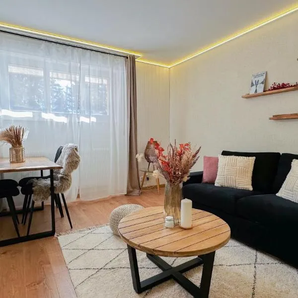 Grand studio au cœur de Crans et au pied des pistes，位于克莱恩 蒙塔纳的酒店