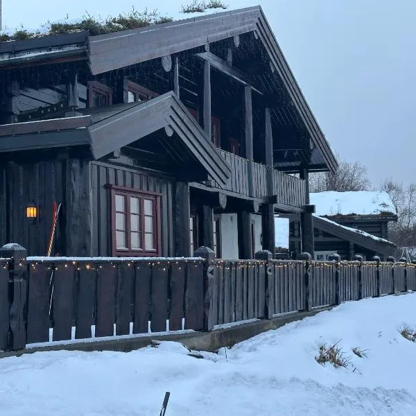 Roalden Mountain Lodge，位于斯特兰达的酒店