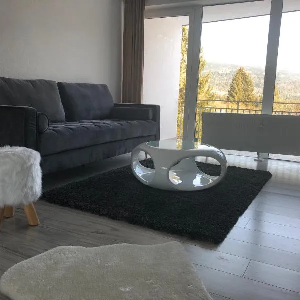 Ferienwohnung im Dreiländereck，位于诺伊赖歇瑙的酒店