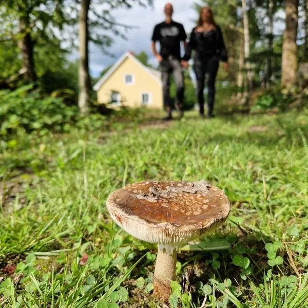 Gula huset i skogen- Skogsbruk & logi på Linderödsåsen，位于Kilhult的酒店