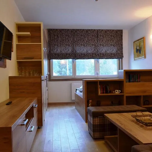 Privatni apartman u sklopu aparthotela Vucko 002，位于亚霍里纳的酒店