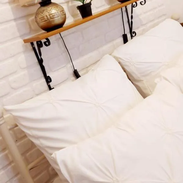 Studio The Cozy Corner，位于蒂米什瓦拉的酒店