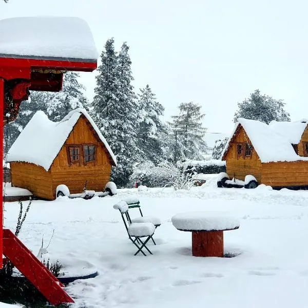 les Refuges du Chalet，位于萨尔特-雷斯温泉的酒店