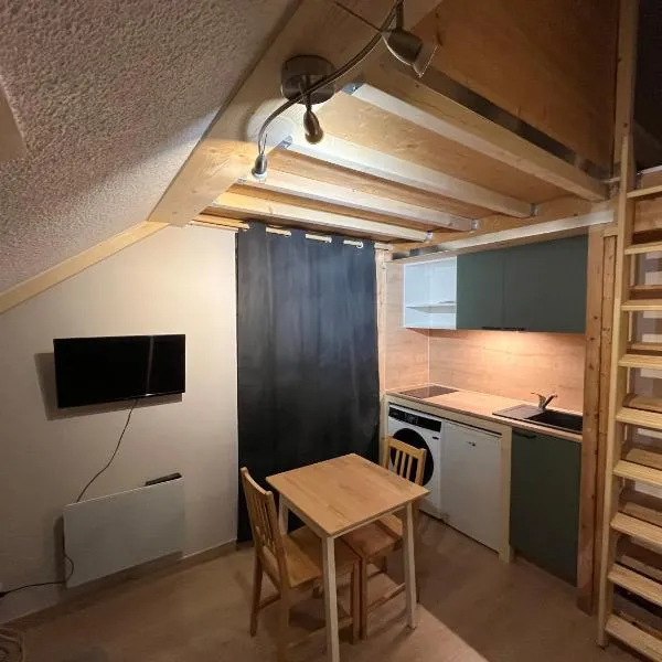 Studio La Muzelle Bourg d'Oisans，位于勒布罗伊斯的酒店