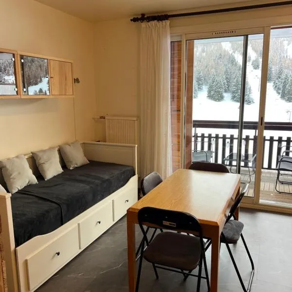 Studio aux pieds des pistes et des commerces，位于德沃吕伊的酒店