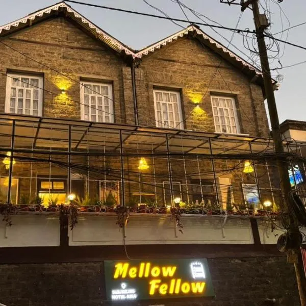 Mellow Fellow Hostel Darjeeling，位于大吉岭的酒店