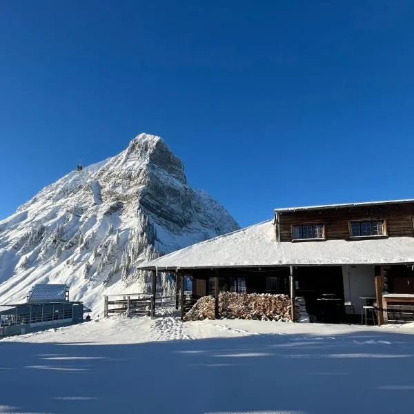 普兰- 弗朗西旅馆，位于Jaun的酒店