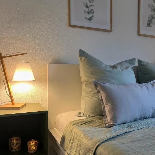 Ferienwohnung Pöhlwasserblick，位于Pöhla的酒店