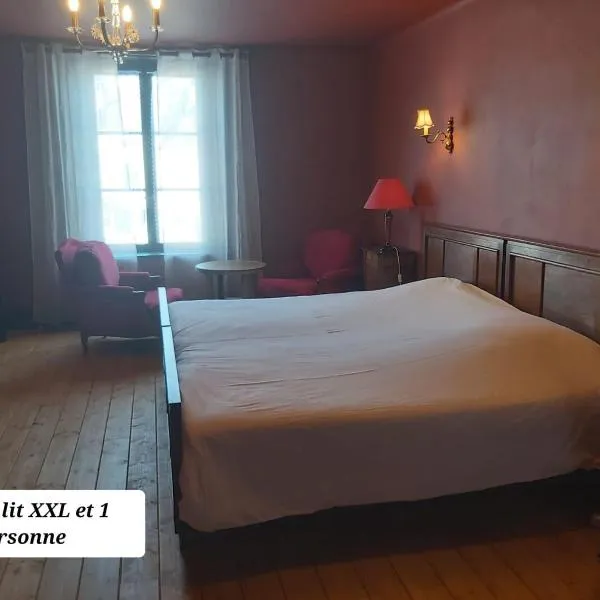 Maison d'hôtes Coeurdacier，位于Monthureux-sur-Saône的酒店
