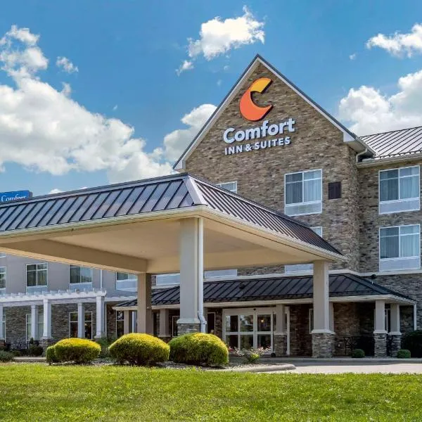 Comfort Inn & Suites Dover，位于Dover的酒店
