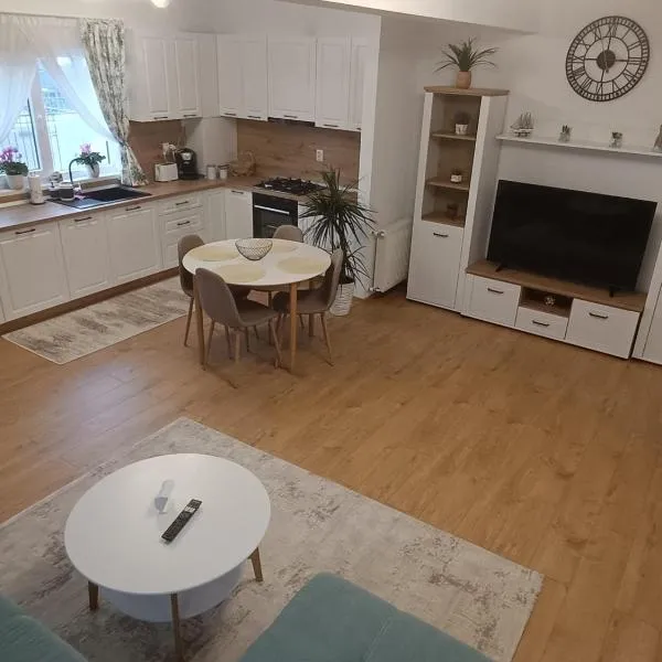 Daniela Apartment Brasov，位于布拉索夫的酒店