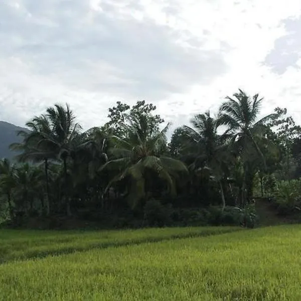 Forest & Fields Cabana - Sinharaja，位于代尼耶耶的酒店