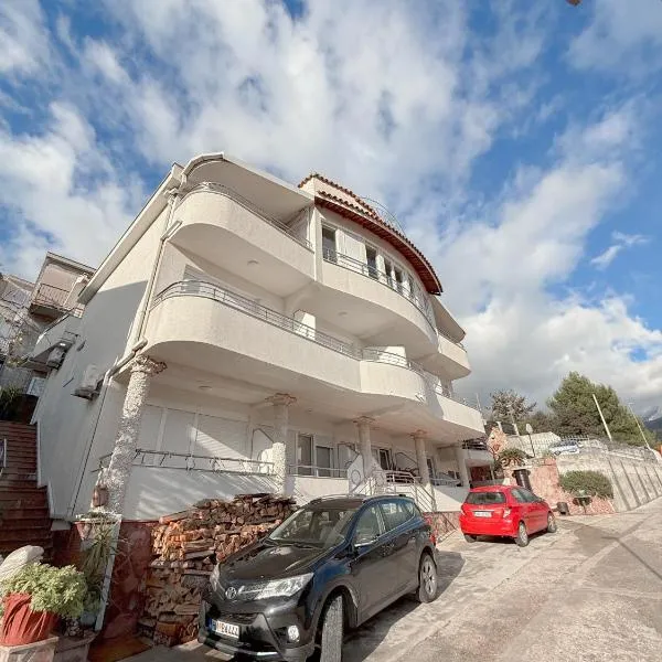 Ilijada apartments，位于伊加洛的酒店
