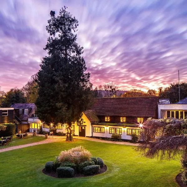 Sunday Box Hill Burford Bridge Hotel，位于多尔金的酒店